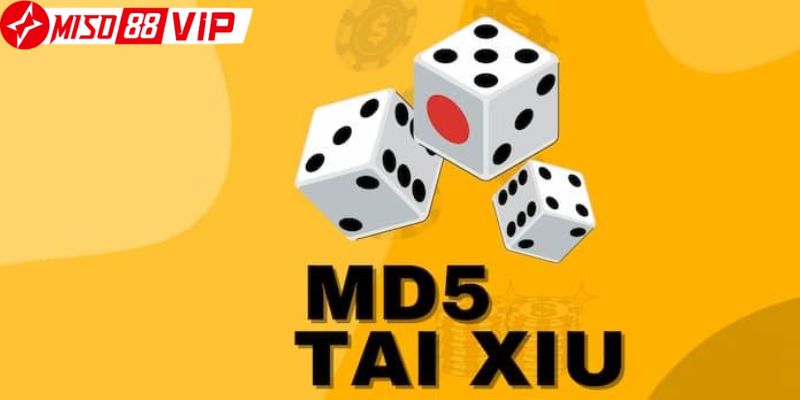 Hướng dẫn tân thủ tham gia chơi tài xỉu MD5 tại Miso88